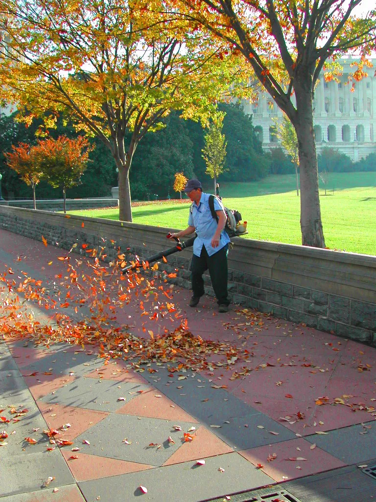 Flick: A New Leaf Overturned